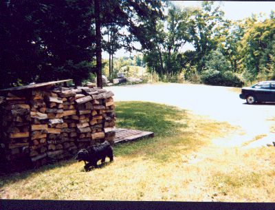 Big pile of wood.